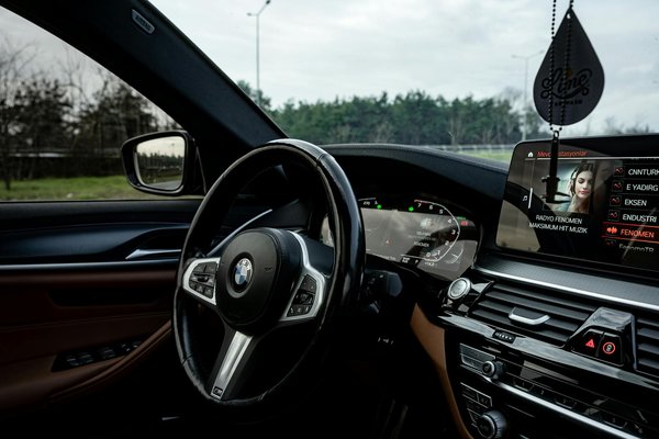 Elevate your interiors using exquisite plaster ceiling roses
